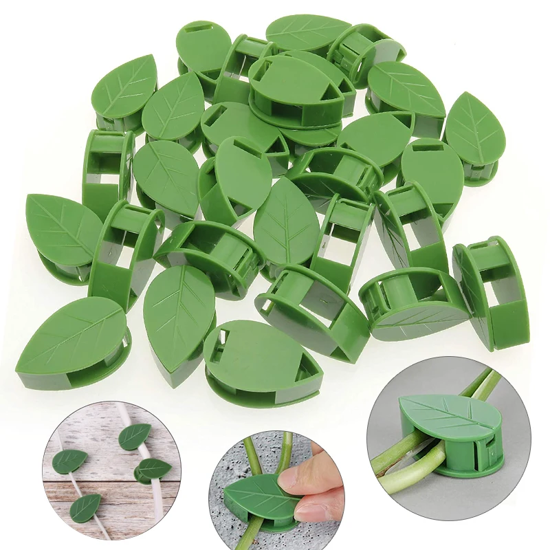 1-50Pcs invisible plant wall c - Wall Anchor Plastic ulasan dan harga