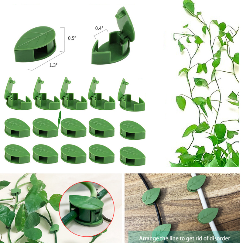 Invisible Plant Climbing Wall  - Wall Anchor Plastic ulasan dan harga